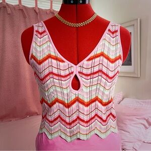 Torn by Ronny Kobo Pink and Red Chevron Tank Top